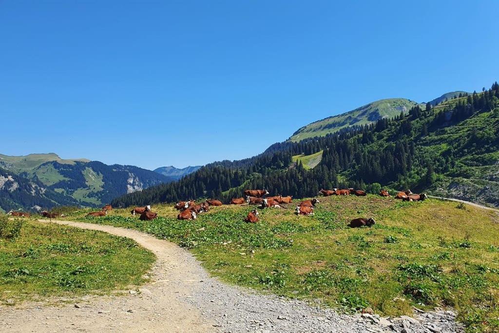 Letach - 'great Bike Park Access' Relax Around The Fire Pit, Mountain Retreat Chalet *