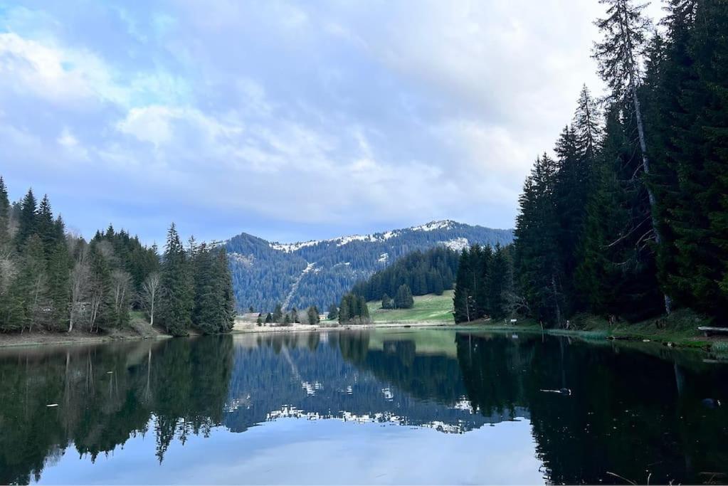Letach - 'great Bike Park Access' Relax Around The Fire Pit, Mountain Retreat Chatel